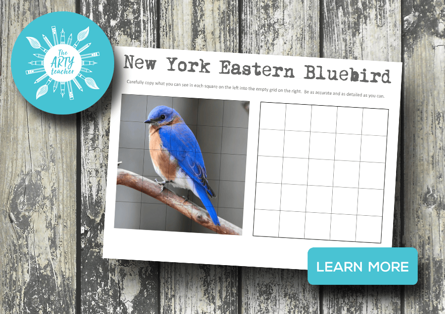 New York Eastern Bluebird