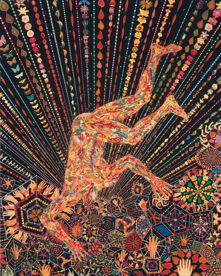 An artwork by Fred Tomaselli 