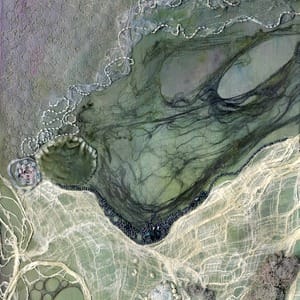 Artists who are inspired by Water