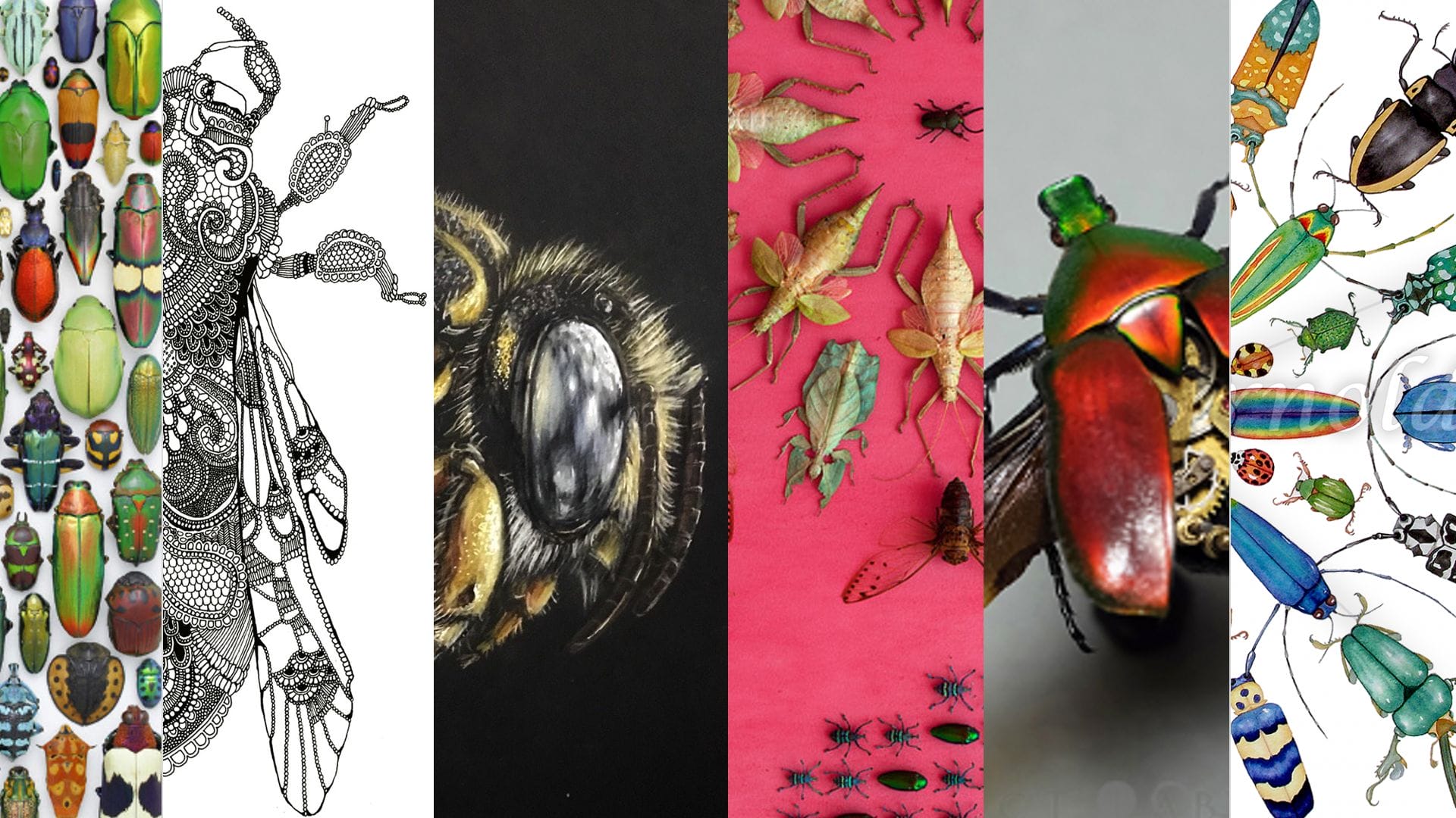 Artists Who Create Artworks Of Insects The Arty Teacher   Insect Presentation 