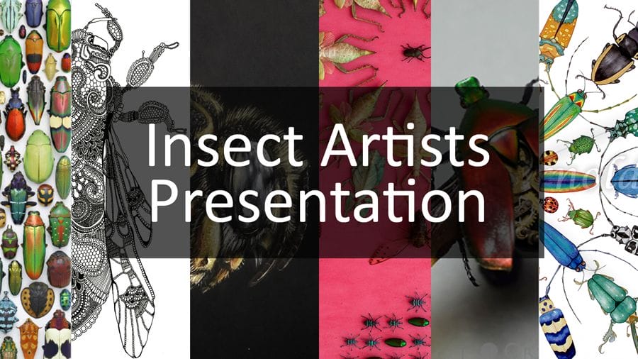Insect Artist Presenation