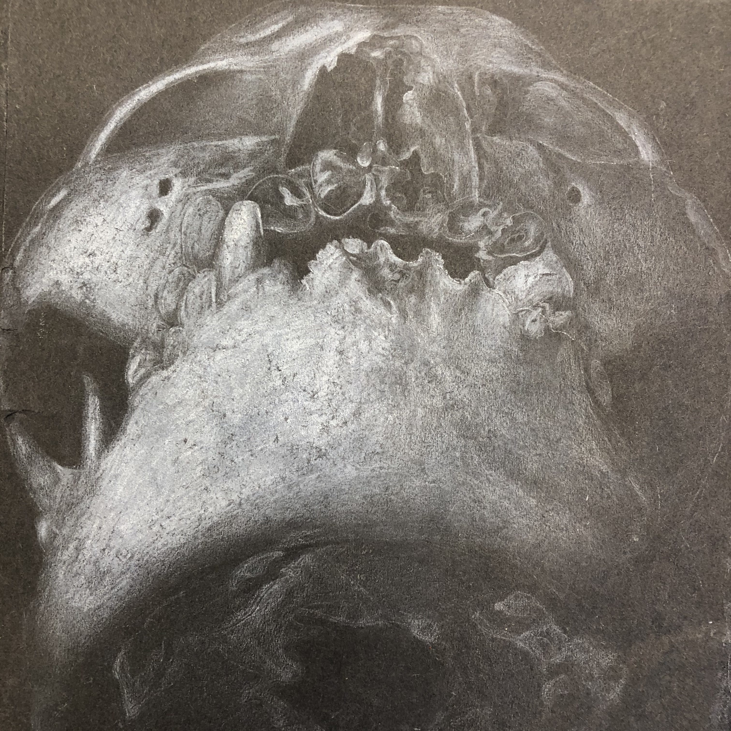 white pencil on black paper