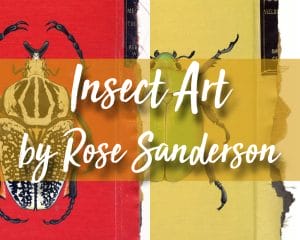 Insect Art on Books by Rose Sanderson
