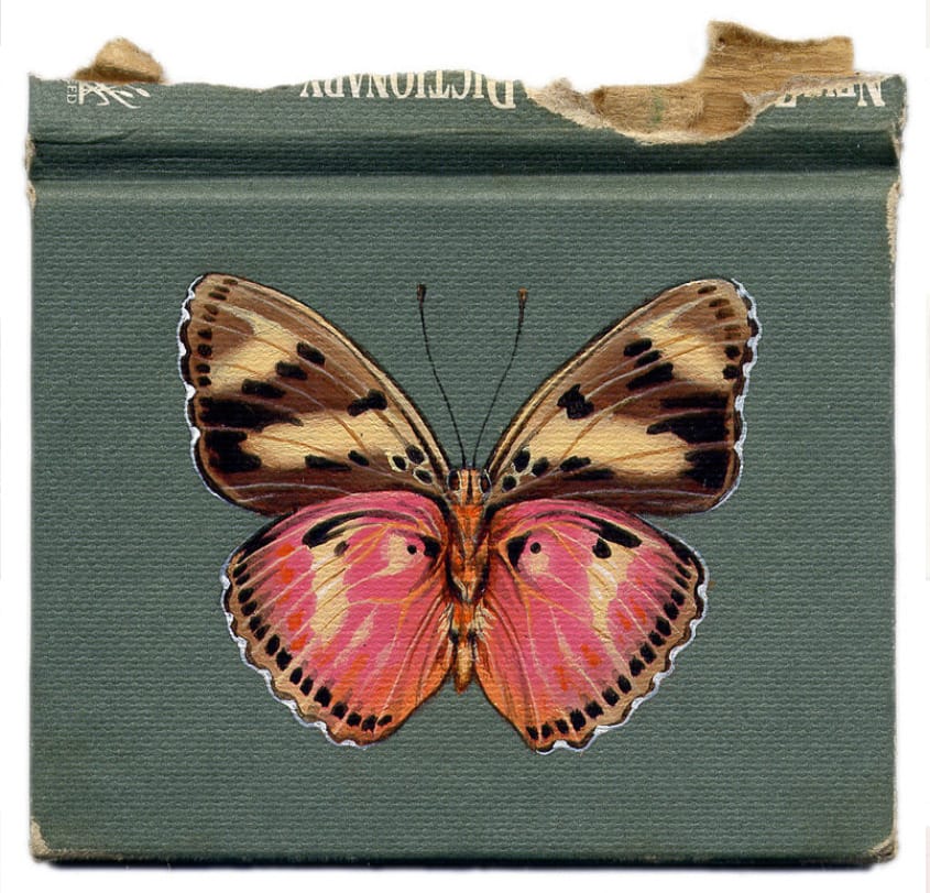 Butterfly on a Book by Rose Sanderson