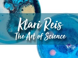 Klari Reis The Art of Science