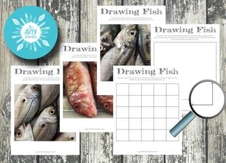 Grid Drawings of Fish