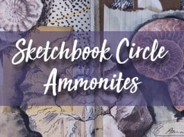 Sketchbook Circle Ammonites
