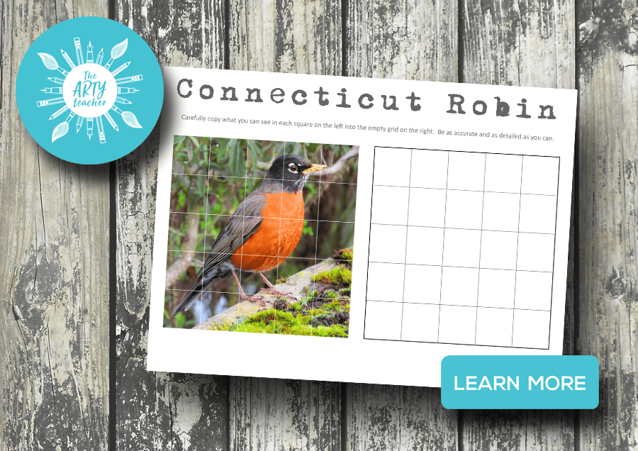 What is the Connecticut State Bird?