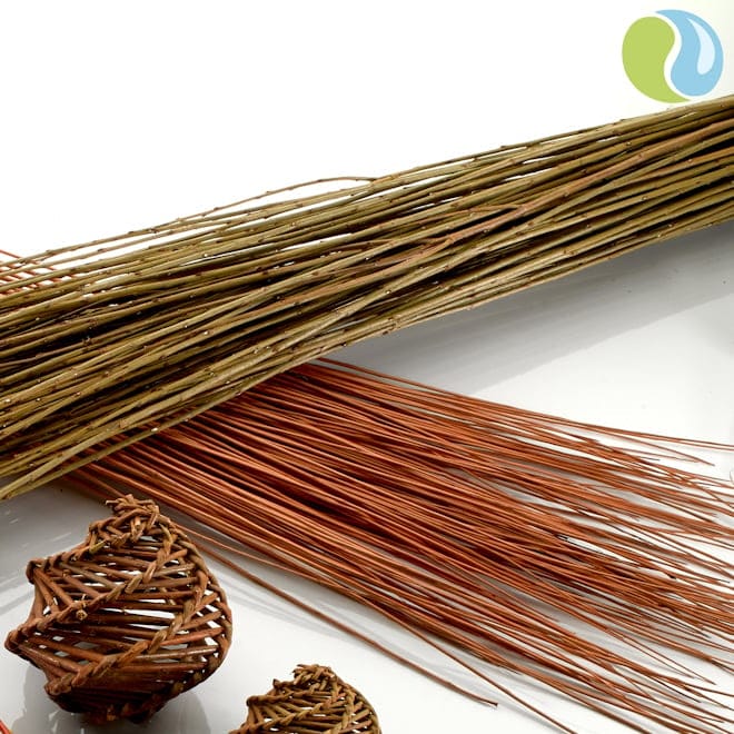 Eco Friendly Art Supplies The Arty Teacher