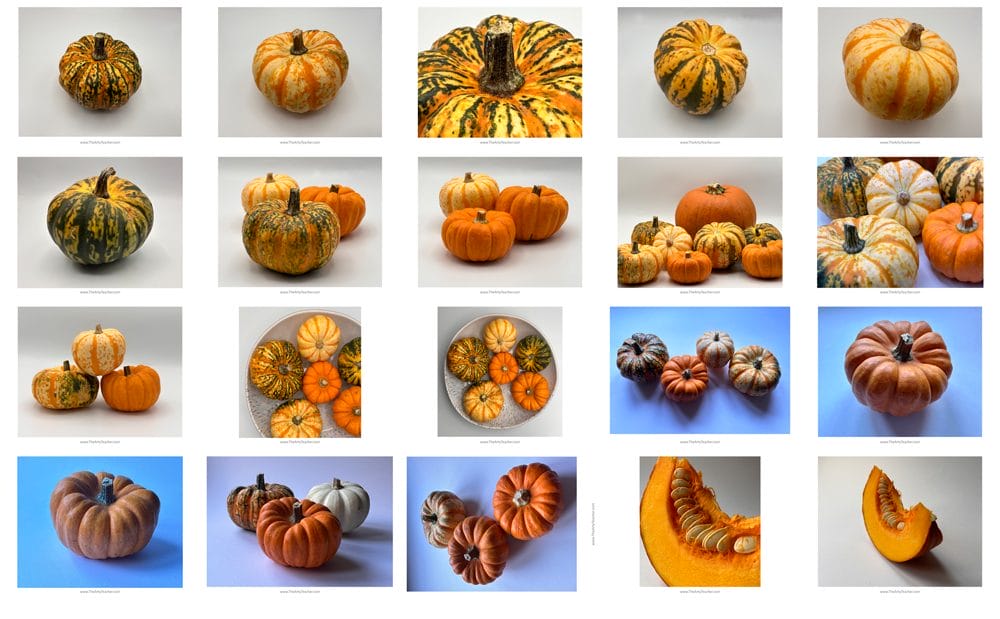 20 Winter Squash Images to Paint or Draw.
