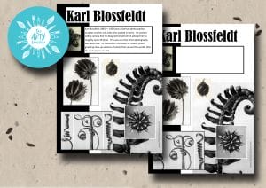 Karl Blossfeldt Resource Sheet