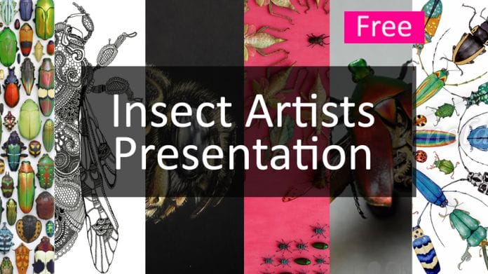 insect artists presentation