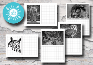 Owl Grid Drawings
