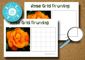 Rose Grid Drawing