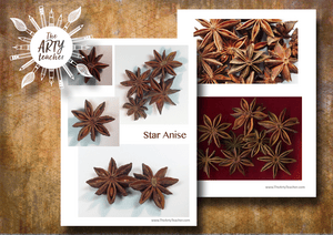 Star Anise – Natural Forms