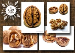 Walnut Images / Natural Forms
