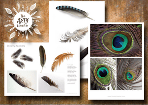 Feathers Art Resource