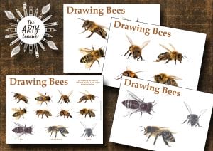 Drawing Bees