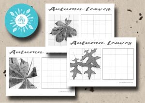 Autumn Leaves Grid Drawings