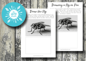 Drawing a Fly in Pencil or Pen (Insects)