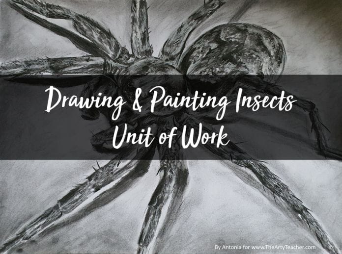 Insects Unit Cover Drawing and Painting Insects