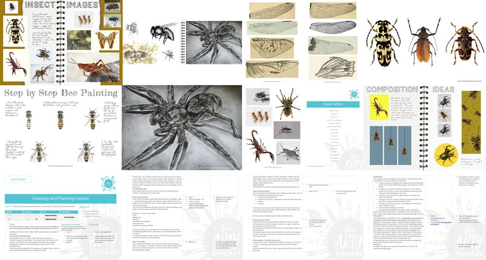 Drawing and Painting Insects