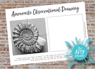 ammonite observational drawing