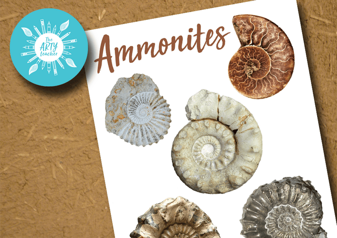 Ammonite Resource Sheet