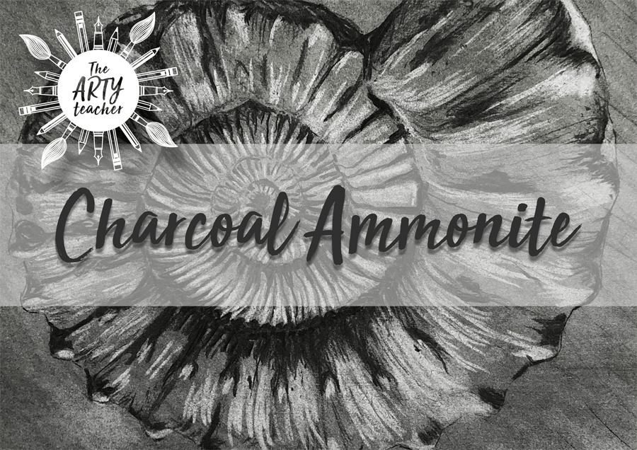 Charcoal Ammonite