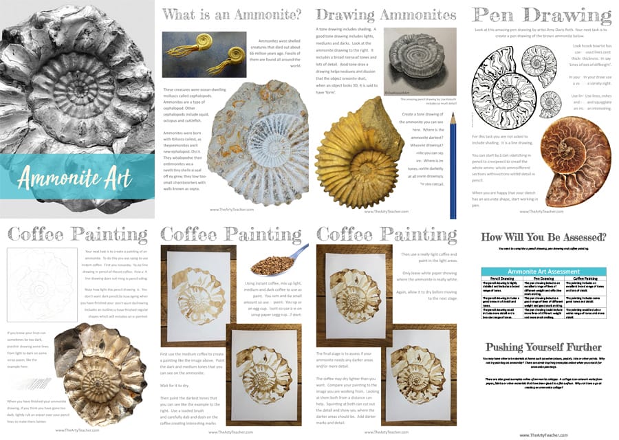 Ammonite Art Distance Learning