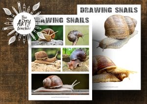 Drawing Snails