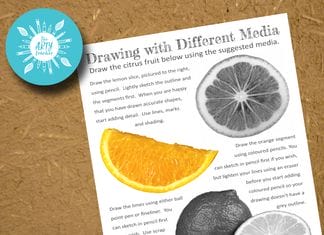 Drawing Citrus Fruit with Different Media