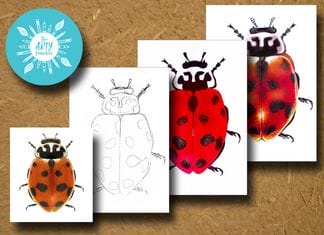 Painting a Ladybird with Acrylic