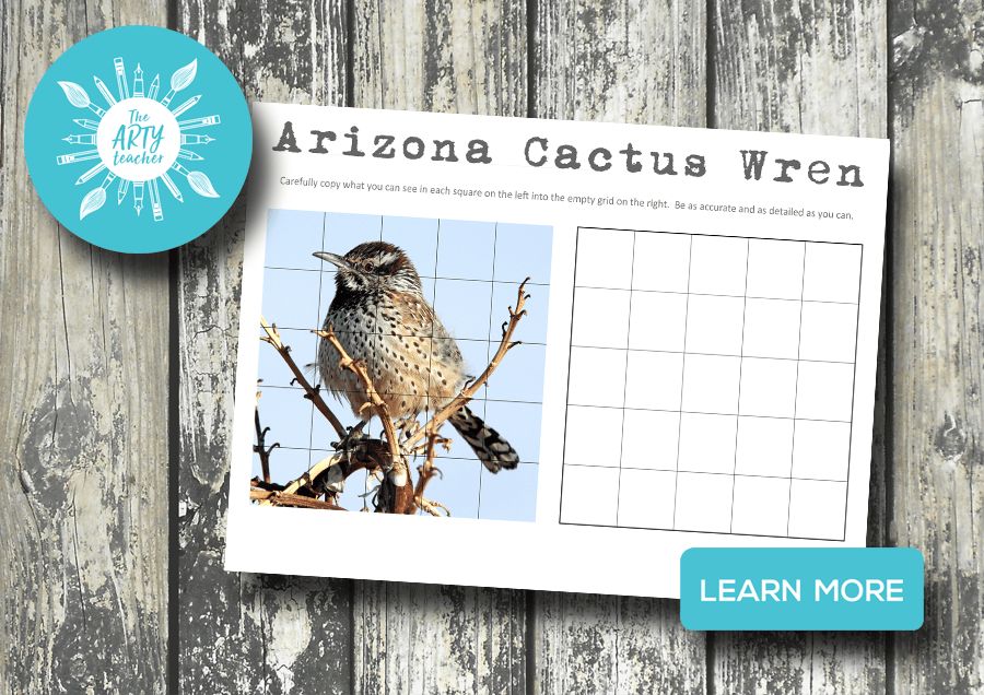 Create a drawing of the Arizona Cactus Wren