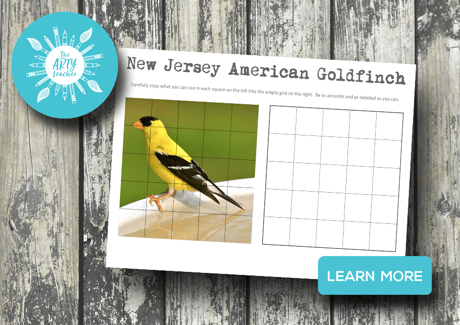 New Jersey American Goldfinch