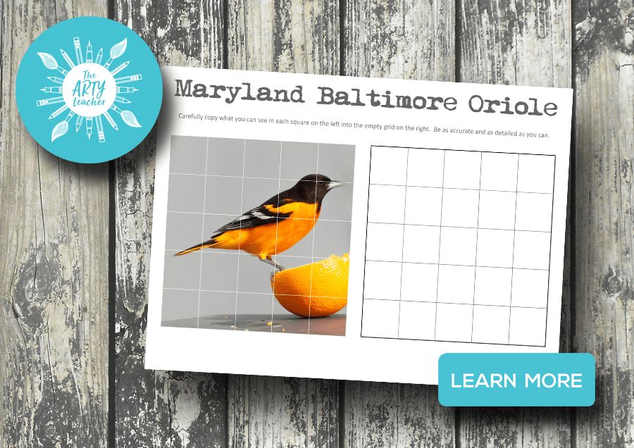 US State Bird - Baltimore Oriole