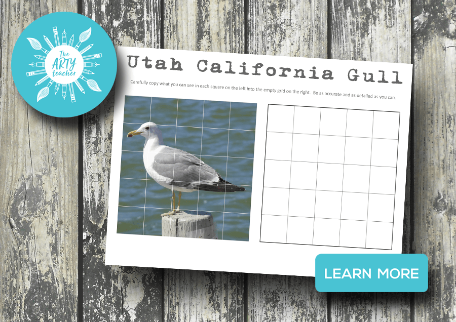 Utah California Gull Grid Drawing