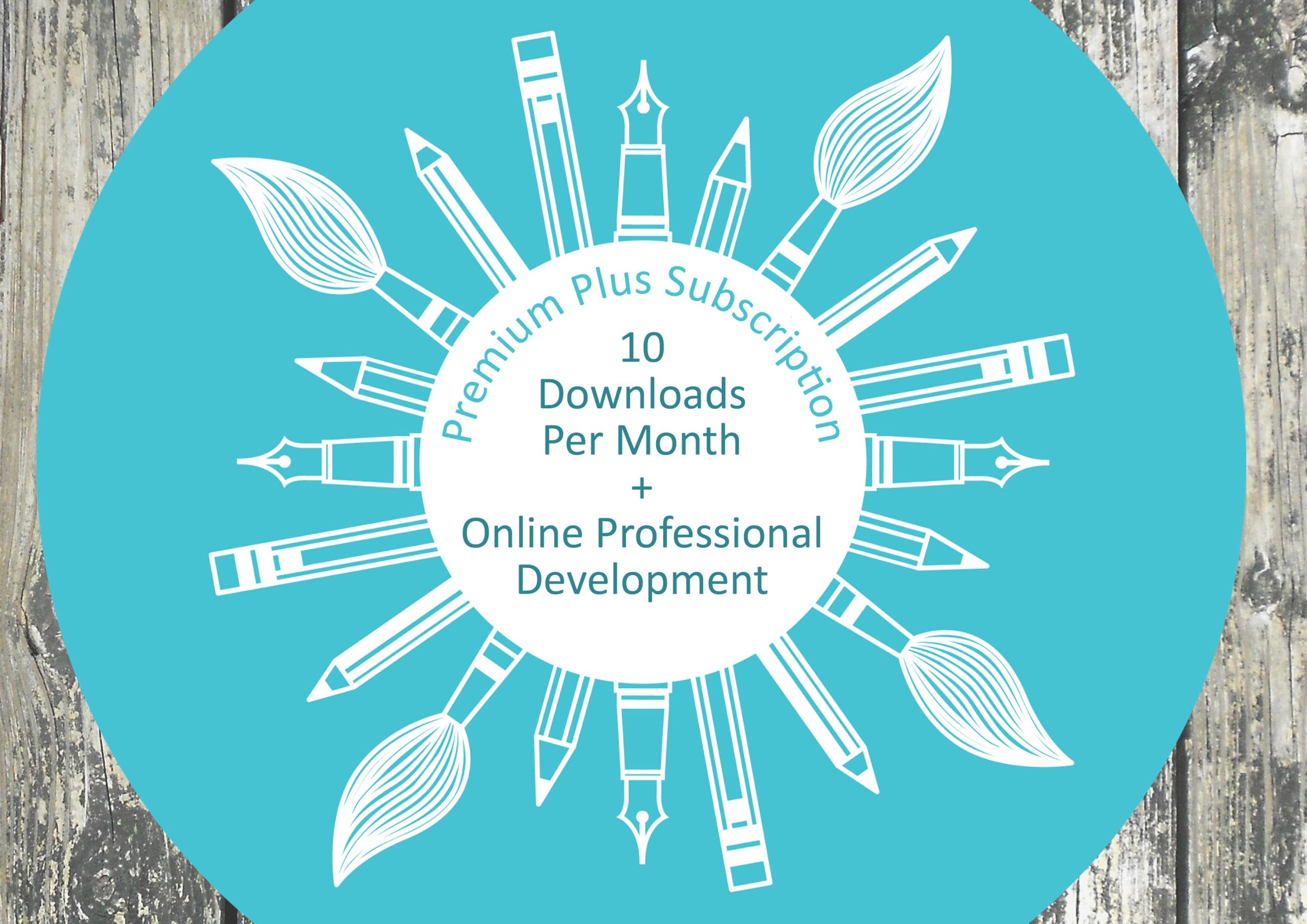 1 user premium plus Annual The Arty Teacher